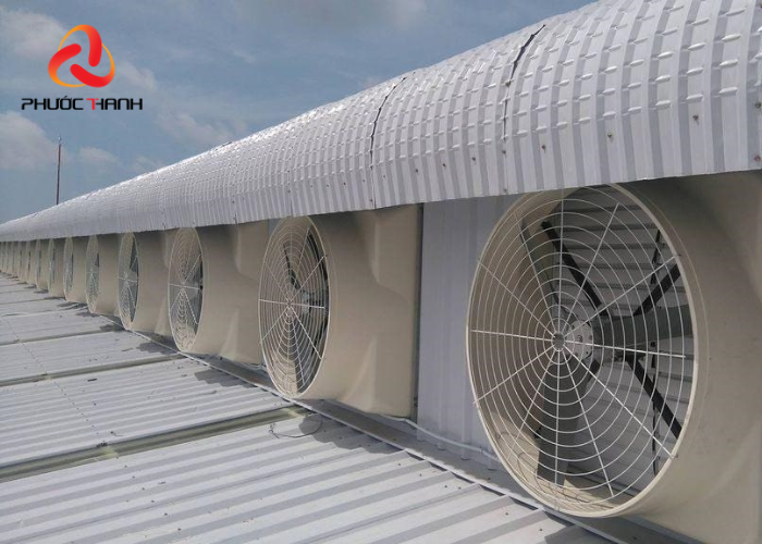 Hệ thống quạt hút được lắp đặt trên mái của nhà xưởng