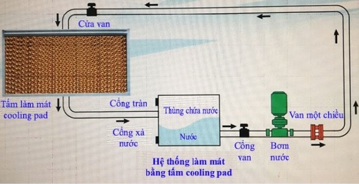 nguyen ly hoat dong he thong cooling pad